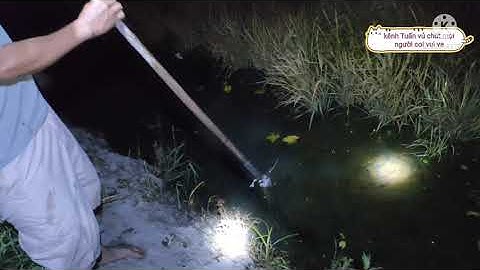 cấm câu ếch !!! làm mồi cấm câu ếch lại và cái kết thú vị