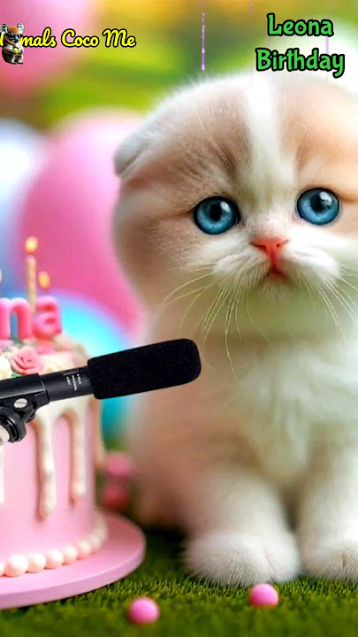 LEONA HAPPY BIRTHDAY | HAPPY BIRTHDAY SONG WITH NAMES | Adorable Cute Cat 😺 #cat #cute