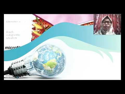 VIDEO PEMBELAJARAN BIOLOGI SEL STRUKTUR DAN FUNGSI ...