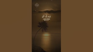 واتقوا يوماً ترجعون فيه إلى الله بصوت القارئ طارق محمد
