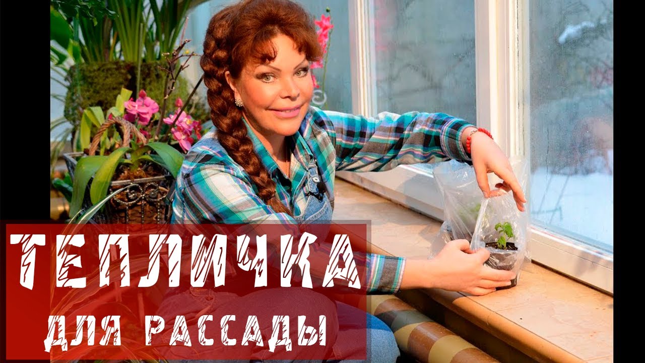 Рассада / Тепличка для рассады из торфяного горшка и пакета