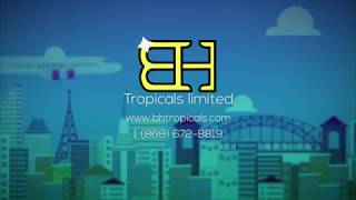 START SHIPPING WITH B&H TROPICALS LIMITED TODAY