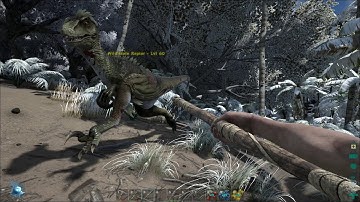 ARK: Survival Evolved Pro Solo Player Start on Official Server [Part 1 Awakening]