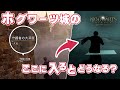 ホグワーツ城5階の壁にある洞窟に入ってみると…【ホグワーツレガシー】