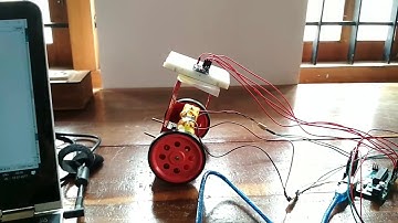 Inverted pendulum self balancing two wheeled Robot