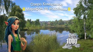 картинка: Марафон по водоёмам. Озеро Комариное. Фарм 1000 серебра.