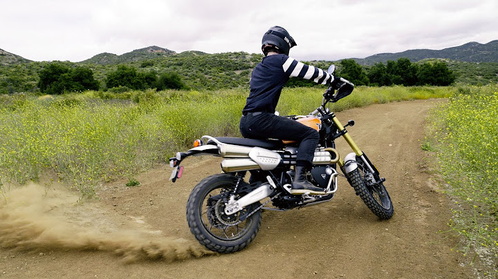 RAW Triumph Scrambler 1200XE 2024 Dirt Roads in the Forest