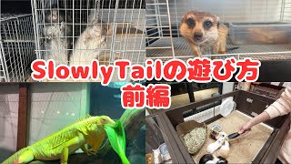 SlowlyTailの遊び方〜前編　お店の楽しみ方をご紹介します！