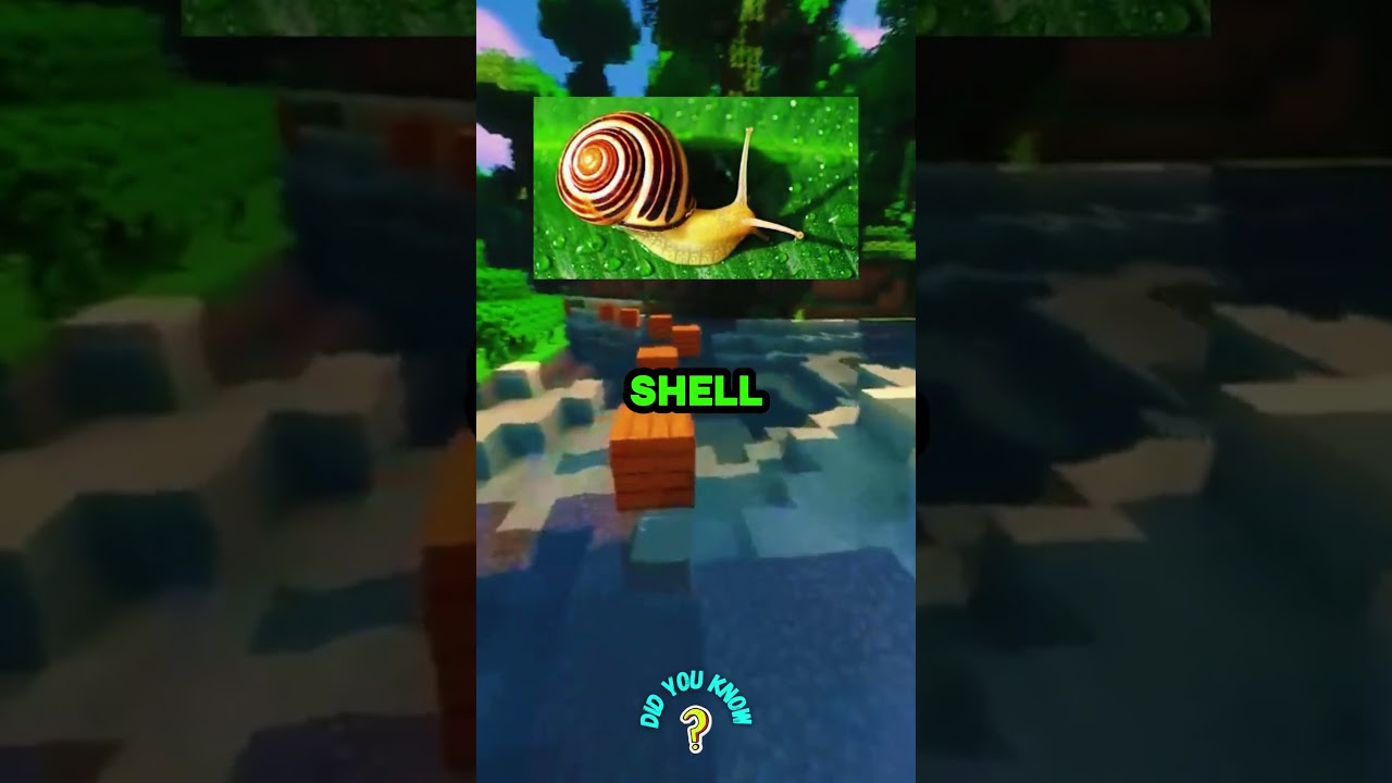 How Long Do Snails Live?😲🐌  