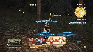 FINAL FANTASY XIV Thauron My First Spear