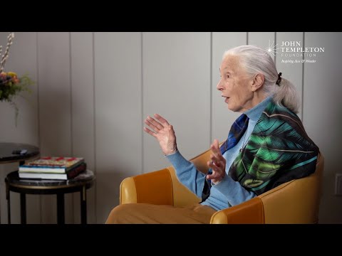 Jane Goodall's thoughts on death (recorded April 5, 2023)
