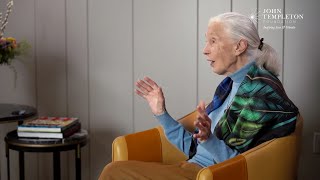Famous Jane Goodall's thoughts on death (recorded April 5, 2023) Net Worth
