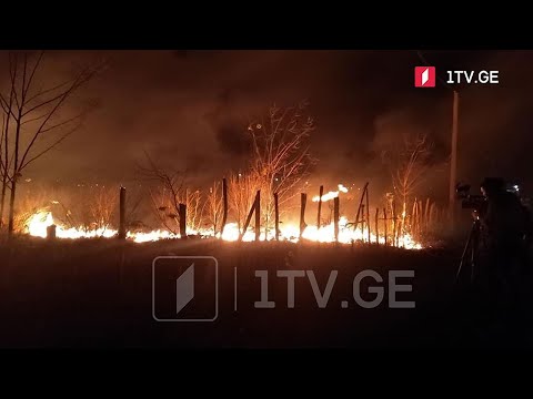 ხანძარი ზუგდიდის მუნიციპალიტეტში