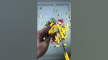 Guess the flower name before I cut it 🌼🤫 #shorts #asmr #flowerchallenge #satisfying #naturevideo