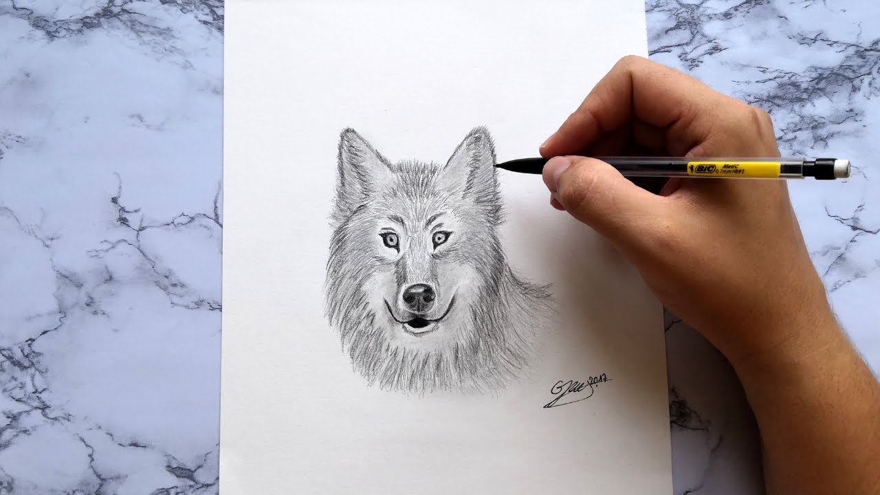 Tuto Dessin Facile Ment Dessiner Un Loup Plus Mignon De Tuto Dessin ...