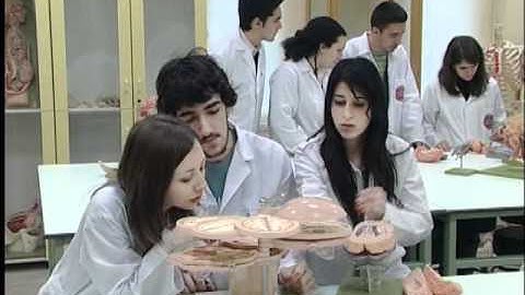 Yeditepe University Presentation