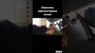 Очень перспективная точка shorts fishing angeln рыбалка спиннинг отдых природа рыбак