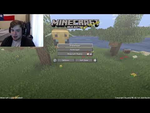 Sapnap Facecam Livestream - Beating Minecraft 