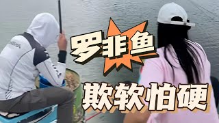 罗非鱼欺软怕硬#釣魚 #戶外