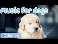 No ads music for dogs 20 hours of gentle calming songs