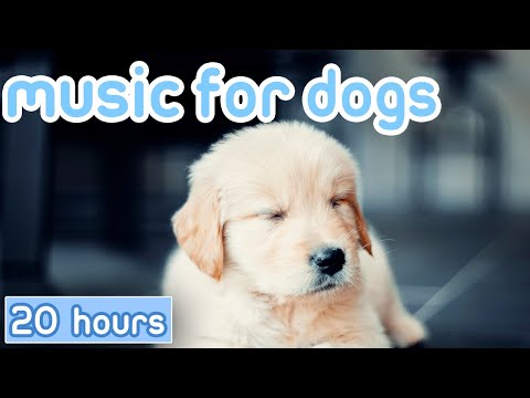 Music For Dogs: 20 Hours Of Gentle Calming Songs