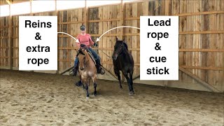 Ponying The Art Of Leading One Horse While Riding Another.