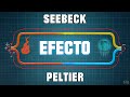 Efecto Peltier y Seebeck | Termocupla y Celdas Peltier