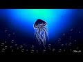 Jellyfish Drawing on Ms Paint | Ms Paint Drawing | paint in computer | How to draw in Ms Paint