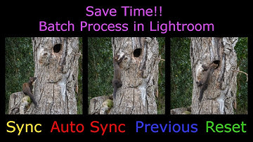 How to Edit Multiple Photos at Once in Lightroom Classic?