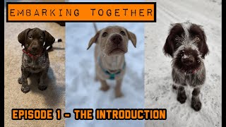 GUN DOG's 'Embarking Together' Episode 1 - The Introduction by Gun Dog Magazine 967 views 1 year ago 6 minutes, 53 seconds