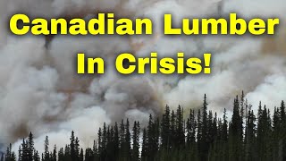 The Lumber Situation in Canada. How Fires, Droughts, Tariffs, and More are Impacting Canadian Lumber