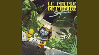 Video thumbnail of "Le peuple de l'herbe - Intervals"