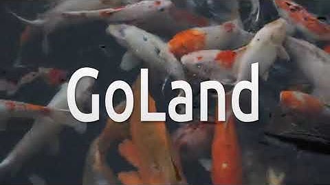 How to install GoLand on Linux Mint 21