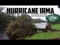 The Aftermath Of Hurricane Irma At Disney's Port Orleans Riverside Resort.