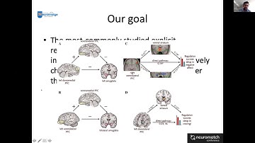 Talk: Neural mechanisms of emotion regulation: A study with fMRI and dynamic causal modeling