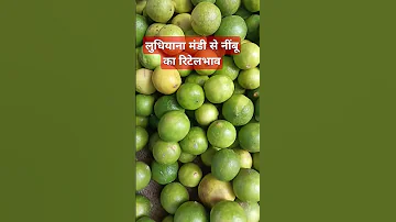 8 Mai 2025 Ludhiana Mandi Nimbu Ka Retail Bhav Fruit 