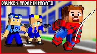 Örümcek Ardanin Hayati - Minecraft