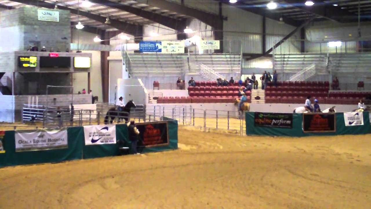 BARREL RACING 2 FIDDLERS TURKEY RUN 2010 YouTube