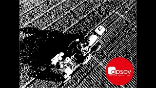 Semine Prove Parcellari Con Apsov