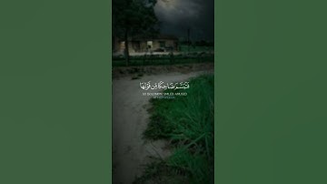 فتبسم ضاحكاً من قولها*  #قرآن #ياسر_الدوسري #سورة_النمل #تلاوة #صوت_الخشوع