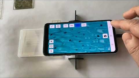 iMicro Q2p:An 800x Polarizing Fingertip Microscope