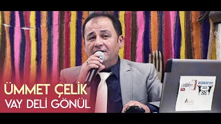 Ümmet Çelik - Vay Deli Gönül (Daha Senden Gayrı Aşık Mı Yoktur)