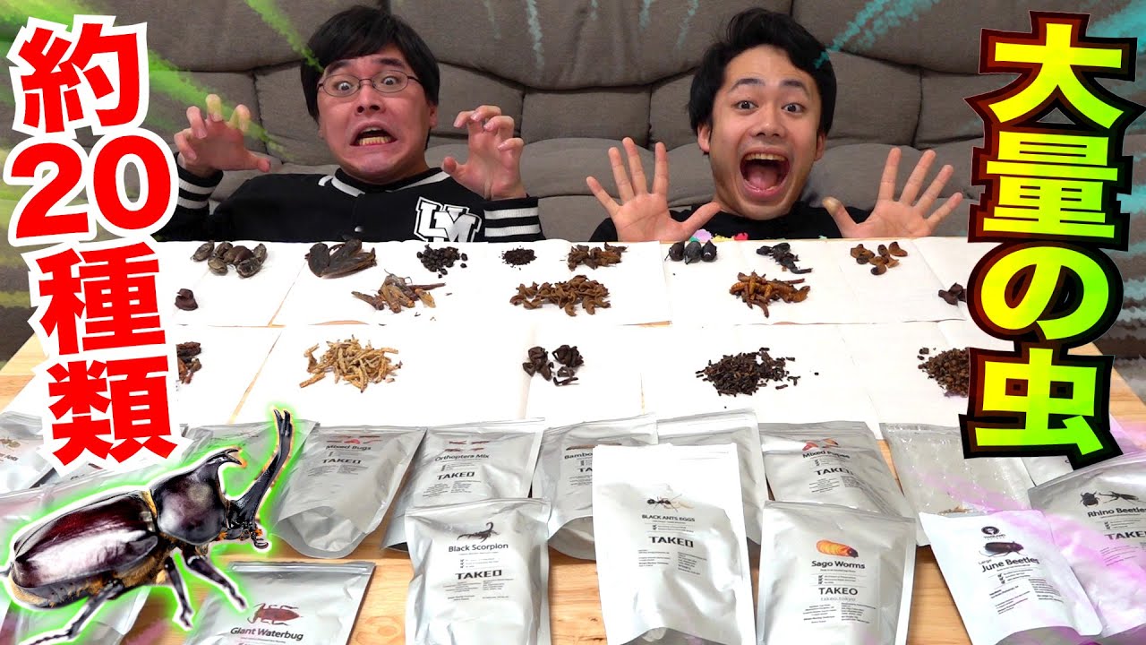 Species Taste The Bugs And Rank Which Ones Taste Best Viewer Discretion Youtube