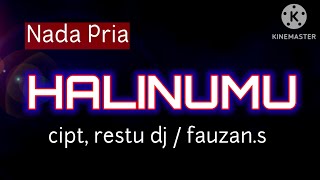 Download Lagu HALINUMU (Mixdut) nada pria - lagu lampung karaoke MP3