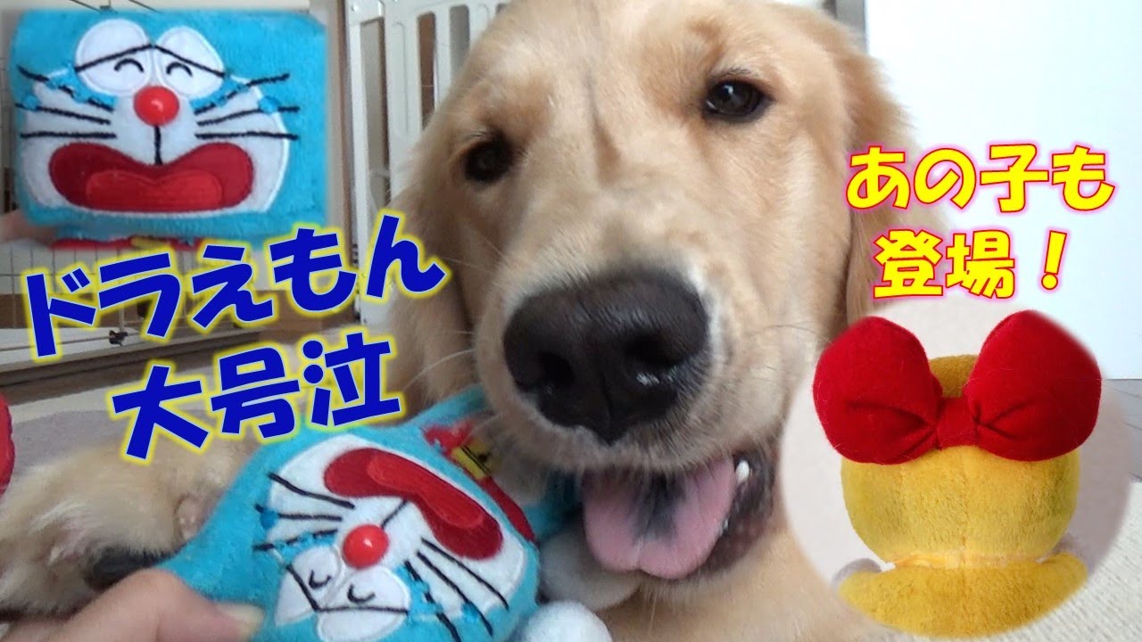 ドラえもん大号泣‼️あの子が助けに来る⁉️/ Doraemon crying loudly