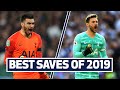 15 UNBELIEVABLE SAVES | Hugo Lloris & Paulo Gazzaniga's best 2019 stops