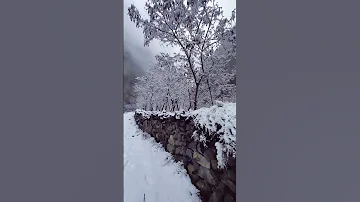 best shayari/Kashmir beauty/snowfall/Allama Iqbal shayari #viralvideo #shorts #snow #nature #shayari