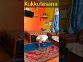 kukkutasana | #yogaandfitnesswithshiva #yogaasana #yogaasana #flowers #shorts #ytshorts