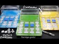 Video: AntHouse-Acryl 30x20x1,5 (Mit Futterzone und Gipsschicht)