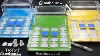 HORMIGUERO 30x20x1.5 pva escayola de Anthouse.es HORMIGAS GRATIS EN TU PEDIDO!